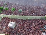 image of grave number 965812